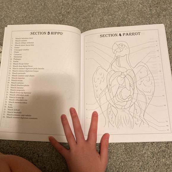 Coloring book - Picture 2 of 2